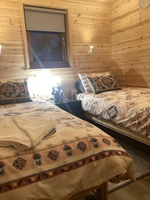 Eco-Friendly Cabins Cabin 1 Norton Disney Exterior foto